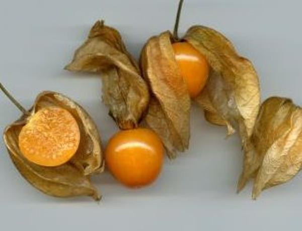 Produktfoto zu Physalis 100g