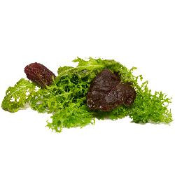 Produktfoto zu Asia Salat 125g Hüsgen