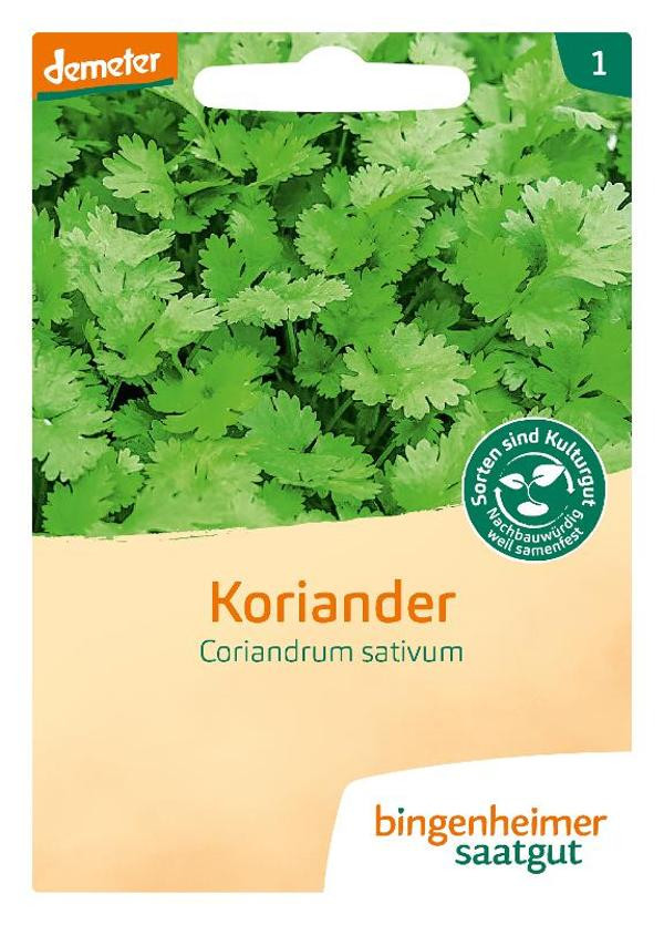 Produktfoto zu Koriander