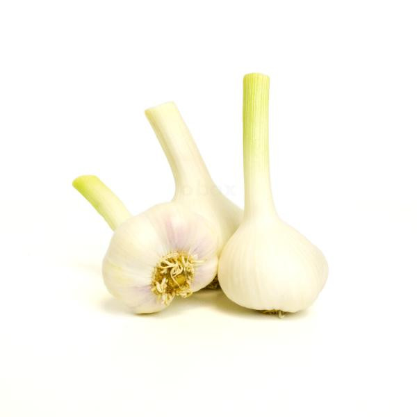 Produktfoto zu Knoblauch frisch