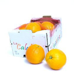 Produktfoto zu Orangen Navelina 3kg Kiste