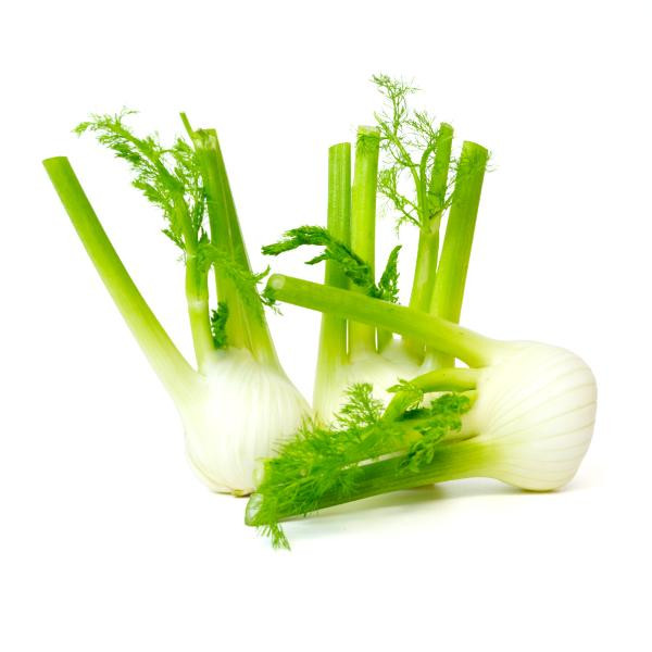 Produktfoto zu Fenchel