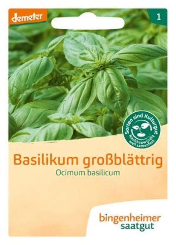 Produktfoto zu Basilikum großblättrig