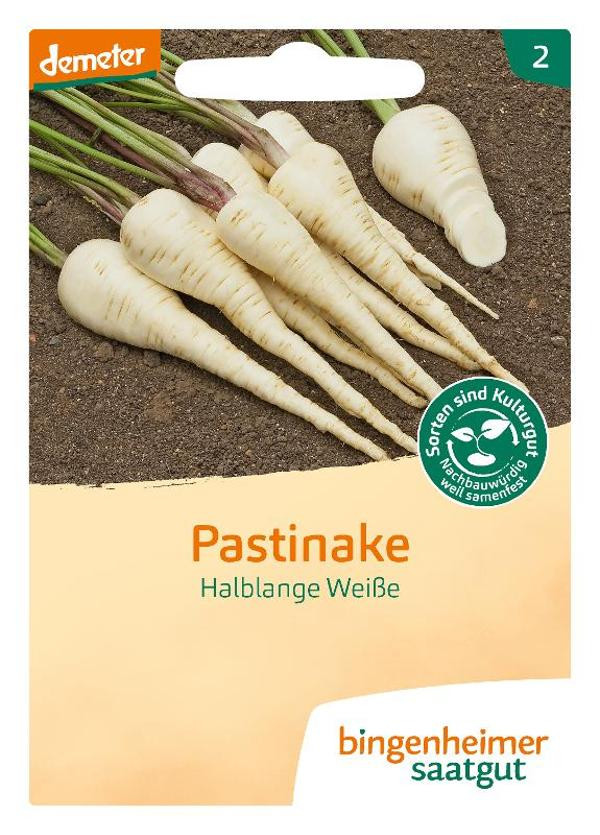 Produktfoto zu Pastinake Halblange Weiße