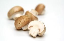 Produktfoto zu Steinchampignons