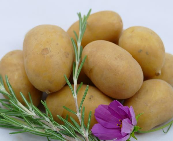 Produktfoto zu Kartoffeln mit Rosmarin 1kg