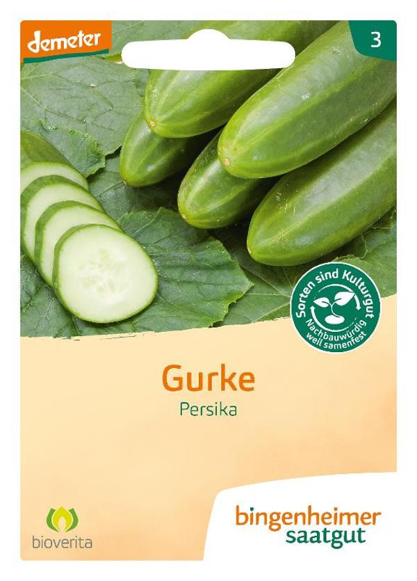 Produktfoto zu Gurke Persika